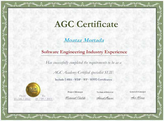 Software engineering industry experience